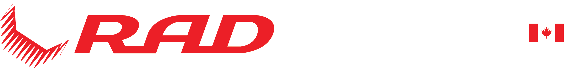 RAD Torque Systems